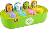 Fisher-Price Baby Spielzeug FP Pets Feinmotorisches Pop-Up mit Aktivitäten...