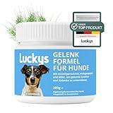 Luckys Box Gelenk-Formel für Hunde: Unterstützung der Gelenkfunktion –...