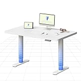 FLEXISPOT Höhenverstellbarer Schreibtisch mit runden Tischbeinen –...