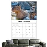 Wandkalender Januar 2026-2027 | Capybara-Themed Personal Time Management -...