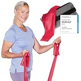 TheraBand 2,50m inkl. Türanker + Tasche rot | Widerstand 1,7kg |...