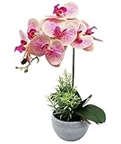 Olrla Rosa Künstliche Orchideenpflanze im Topf, Falsche Phalaenopsis...