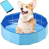LUFEIS Hundepool, 60x20 cm Hundepool Schwimmbad, Hundebecken Faltbar mit...