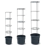 Prosperplast Anzuchttopf für Tomaten mit Rankhilfe – Pflanzkübel aus...