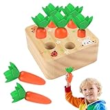 Holzspielzeug ab 1 Jahr | Baby Motorik, Montessori Spielzeug Holzpuzzle...