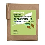 Futura-Shop Pheromonfalle für Teppichkäfer & Pelzkäfer | Klebefalle mit...