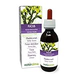 Blasentang (Fucus vesiculosus) Thallus (Alge) Alkoholfreier Urtinktur...