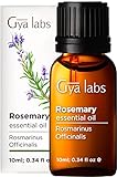 Gya Labs Ätherisches Rosmarinöl für das Haarwachstum (10 ml) – Reines...