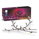 Philips Hue Festavia Lichterkette, White & Color Ambiance, dimmbar, 500...