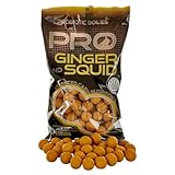 Starbaits Bouillettes Pro Ginger Squid Boilies – 800 g – D.20 mm –...