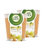 Air Wick Wohlfühl-Duftkerze im Glas Anti-Tabak – Duft: Orange –...