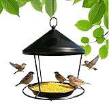 Futterstationen Zur Fütterung Von Wildvögeln | Metall Kolibri...