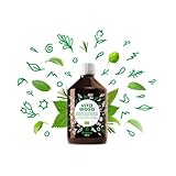 Vita Biosa Original 500 ml in Bio Qualität - Fermentgetränk mit...