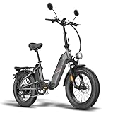 Fafrees Straßenzulassung FF20 Polar Damen E Bike Herren 45km/h mit 48V...