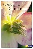 Die Heilkraft der Christrose