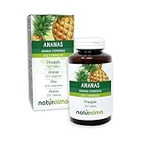 Ananas (Ananas comosus oder Ananas sativus) Stiele der Früchte Naturalma -...