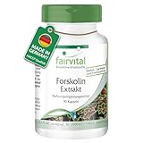 Fairvital | Forskolin Extrakt - 90 Kapseln - aus Coleus Forskohlii Extrakt...
