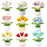 Snadulor Mini-Häkelblumentopf, handgefertigt, Häkelblumentopf,...
