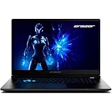 ERAZER Defender 17 P1 43,9 cm (17,3 Zoll 144Hz) Full HD Gaming Laptop (Core...