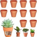 Cerkkapo 10 Stück 10 X 8 cm Terrakotta Topf,Tontöpfe Klein mit...