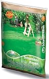 Pegasus Schatten-Rasensamen, 1 kg für 25qm, 622388 – Schattenrasen für...