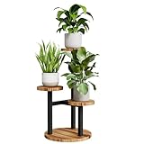 Bamworld Blumenständer Holz Pflanzenständer Pflanzenregal Indoor...