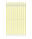 Cawila Academy Slalomstangen 10er Set, 170cm Länge, gelb