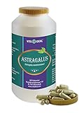 VITA IDEAL® Astragalus - Wurzel 360 Kapseln - Astragalus membranaceus -...