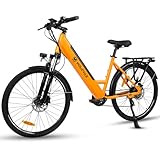 Molicycle R1 E-Bike City Elektrofahrrad für Damen und Herren, Heckmotor 42...