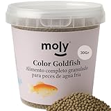 MOLY MOLY Goldfischfutter für Aquarienfische, Körnung 30 g/100 ml