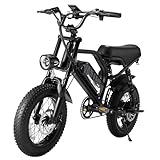 VDL E Bike Elektrofahrräder-Ebike mit 36V 13Ah Herausnehmbare Batterie,...