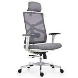 HOLLUDLE Ergonomischer Bürostuhl mit Adaptiver Rückenlehne,...