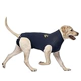 MPS Medical Pet Shirt, Hund, Blau, für große Hunde