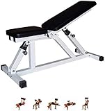 MFRELMNZG Hantelbänke Pastor Hocker Bauchbank Fitness Hanteln Sitzen Auf...