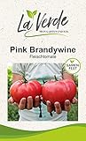 Pink Brandywine Tomatensamen