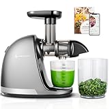 AMZCHEF Entsafter Gemüse und Obst Testsieger - Entsafter Slow Juicer mit...
