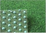 Internethandel Pfordt Kunstrasen (5,50€/m²) 300 x 200 cm Teppich mit...