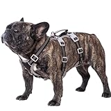 Huntboo Hunde Sicherheitsgeschirr, Sicherheitsgeschirr für Hunde,...