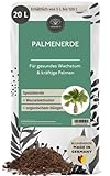 Palmenerde 20 L - Aus 100% nachwachsenden Rohstoffen - Grünpflanzenerde...