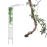 Halbbogen-Rosenbogen, 240 cm, strapazierfähig, wetterfest, Pergola für...