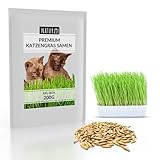 Naturlie XXL 200g Premium Katzengras Samen Set: Saatgut für 80 Töpfe...