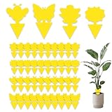 LACHT Gelbsticker Trauermücken Bekämpfen 40 Stück,fruchtfliegenfalle,...