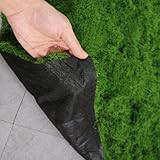 AQCQDQ Moosmatten zur Dekoration, Flachmoos für Moosbilder und Mooswände,...