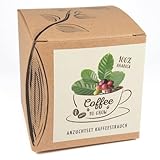 Geschenk-Anzuchtset 'Coffee-to-grow', Kaffeestrauch aus Eigenanbau,...