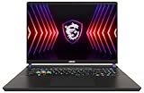 MSI Vector 17 HX Gaming Laptop, 17,0' QHD+ 240Hz, Intel Core i9-13980HX,...