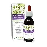 Hirtentäschel (Capsella bursa-pastoris) Kraut Alkoholfreier Urtinktur...