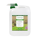 BodenLiebe RASENBLITZ Sommerdünger Nachfüllpack – 5 L für...