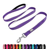 PenSeepet Hundeleine, 1,8 m, gepolsterter Griff, Nylon, reflektierend, für...