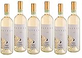 ESTATE CARRETTA CAYEGA ROERO ARNEIS 2022 DOCG 75 CL 6 FLASCHEN