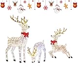 Beleuchtete Outdoor Weihnachten,3 Stück Reality- LED Festliche Beleuchtung...
